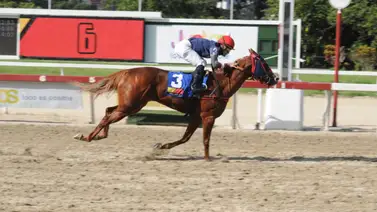 Dotwing Fernández reaparece a una yegua que tiene casi un año sin correr Dotwing Fernández reaparece a una yegua que tiene casi un año sin correr