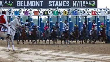 Este es el primer ejemplar confirmado para buscar la doble corona en el Belmont Stakes