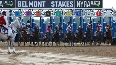 Este es el primer ejemplar confirmado para buscar la doble corona en el Belmont Stakes Este es el primer ejemplar confirmado para buscar la doble corona en el Belmont Stakes