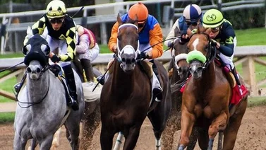 Jockey es multado dos veces en la misma carrera por negligencia y uso excesivo del látigo