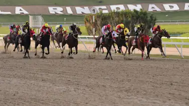 Reconocido Stud de La Rinconada pone a la venta varios de sus ejemplares Reconocido Stud de La Rinconada pone a la venta varios de sus ejemplares