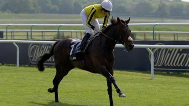 Jockey muestra su decepción por perder su monta en el Derby