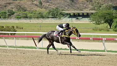 Ejemplar que de ganar abonaría excelente dividendo ajusta muy bien Ejemplar que de ganar abonaría excelente dividendo ajusta muy bien