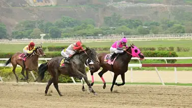 Mira como ajusta una de las fijas de las no válidas en La Rinconada Mira como ajusta una de las fijas de las no válidas en La Rinconada