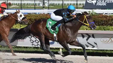Jockey de Puerto Rico recibe esta distinción en Estados Unidos Jockey de Puerto Rico recibe esta distinción en Estados Unidos