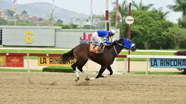 Ejemplar que gusta de robo en su cuadra ajusta fenomenal en La Rinconada Ejemplar que gusta de robo en su cuadra ajusta fenomenal en La Rinconada