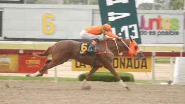 Así ajustó la línea de Gaceta Hípica para la reunión 20 en La Rinconada Así ajustó la línea de Gaceta Hípica para la reunión 20 en La Rinconada