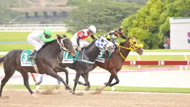 Caballo ganador de clásico ajusta clavo y parece recuperado Caballo ganador de clásico ajusta clavo y parece recuperado