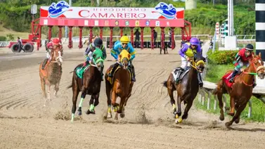 Vuelven las transmisiones hípicas radiales en Puerto Rico Vuelven las transmisiones hípicas radiales en Puerto Rico