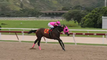 Yunta que no ha podido ganar este año lleva a esta gran favorita en La Rinconada Yunta que no ha podido ganar este año lleva a esta gran favorita en La Rinconada