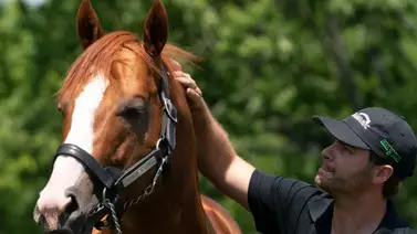 Debuta la hermana completa del campeón Good Magic Debuta la hermana completa del campeón Good Magic