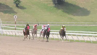 Mira el buen ajuste de Mia Ragazza para el domingo en La Rinconada Mira el buen ajuste de Mia Ragazza para el domingo en La Rinconada