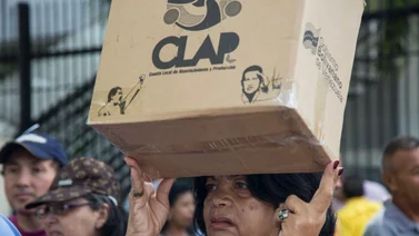 bolsas clap