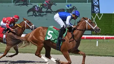 Aquí el Best Bet y los Picks para Gulfstream Park 24-05-2024 Aquí el Best Bet y los Picks para Gulfstream Park 24-05-2024
