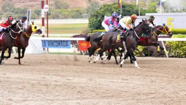 Caballo que siempre han tenido por bueno ajusta bien y pudiera tumbar una torre Caballo que siempre han tenido por bueno ajusta bien y pudiera tumbar una torre