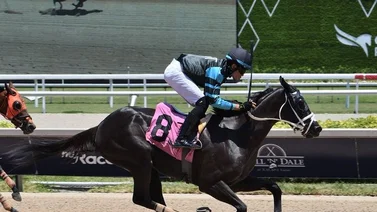 Yunta venezolana gana este viernes en Gulfstream Park