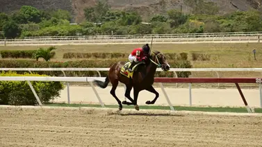 De la forma en como ajustó esta yegua puede ser la "tapita" de la sexta válida De la forma en como ajustó esta yegua puede ser la "tapita" de la sexta válida