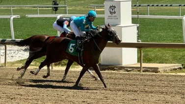 Jockey latinoamericano alcanza el millar de victorias en Estados Unidos