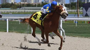 Javier Castellano hace vibrar la taquilla en Estados Unidos Javier Castellano hace vibrar la taquilla en Estados Unidos