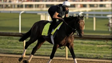 Sierra Leone irá con nuevo jockey al Belmont Stakes (G1) 