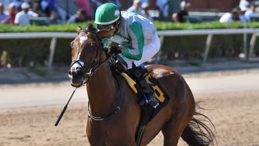 Jockeys venezolanos suman tres victorias este sábado en el hipódromo de Gulfstream Park