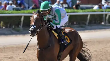 Jockeys venezolanos suman tres victorias este sábado en el hipódromo de Gulfstream Park Jockeys venezolanos suman tres victorias este sábado en el hipódromo de Gulfstream Park