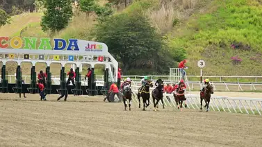 Estos son los ejemplares con más fuerza para la reunión 20 de La Rinconada Estos son los ejemplares con más fuerza para la reunión 20 de La Rinconada