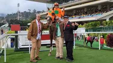 Favoritos de la cátedra para la Reunión N°20 en el hipódromo La Rinconada Favoritos de la cátedra para la Reunión N°20 en el hipódromo La Rinconada