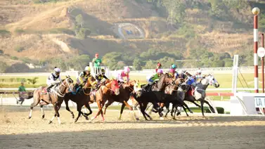 Así quedaron los resultados de las carreras La Rinconada 26-05-2024 Así quedaron los resultados de las carreras La Rinconada 26-05-2024
