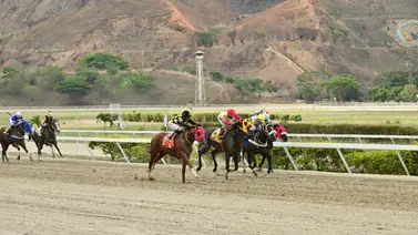 Así marcha el segundo meeting de jinetes y entrenadores en su cuarta semana en La Rinconada Así marcha el segundo meeting de jinetes y entrenadores en su cuarta semana en La Rinconada