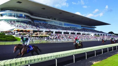 Estos son los Stakes que se disputan este Lunes Feriado de Memorial Day en Estados Unidos
