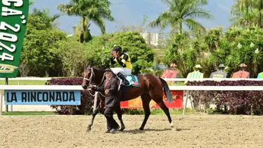 Por esta razón el propietario de Súper Periodista denuncia a jockey ante la Junta de Comisarios del INH Por esta razón el propietario de Súper Periodista denuncia a jockey ante la Junta de Comisarios del INH
