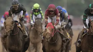 Chad Brown colocará este nuevo implemento a Sierra Leone en el Belmont Stakes (G1) Chad Brown colocará este nuevo implemento a Sierra Leone en el Belmont Stakes (G1)