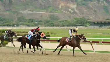 Mira lo que informó Jean Carlos Rodríguez sobre Sweet Champ a los comisarios luego de su carrera en La Rinconada Mira lo que informó Jean Carlos Rodríguez sobre Sweet Champ a los comisarios luego de su carrera en La Rinconada