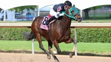 Jockey puertorriqueño ganó con 7 de sus últimas 11 montas en este hipódromo de Estados Unidos Jockey puertorriqueño ganó con 7 de sus últimas 11 montas en este hipódromo de Estados Unidos