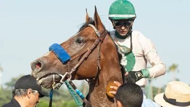 Mira el contundente triunfo del medio hermano de Flightline en su debut