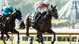 Gran ejemplar clásico de Bob Baffert sufre fractura luego de la victoria en un stakes