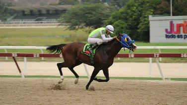 Conoce cuál es el jockey que regresa a las pistas luego de recuperarse de una lesión