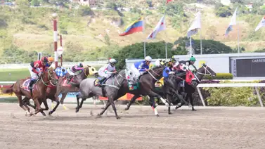 Caballo ganador de clásico grado 1 reaparece en La Rinconada Caballo ganador de clásico grado 1 reaparece en La Rinconada
