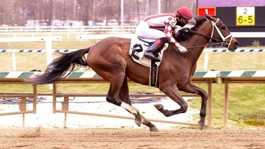 Este jockey venezolano tiene mejor porcentaje de victorias que Irad y José Luis Ortiz en Estados Unidos en el 2024
