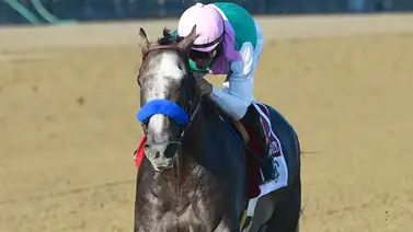 Veterano jockey triplecoronado se anota mil puntos en Clásicos este lunes de Memorial Day Veterano jockey triplecoronado se anota mil puntos en Clásicos este lunes de Memorial Day