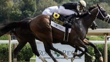 Aquí los trece (13) posibles participantes del Belmont Stakes (G1) de 2024