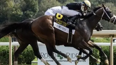 Aquí los trece (13) posibles participantes del Belmont Stakes (G1) de 2024 Aquí los trece (13) posibles participantes del Belmont Stakes (G1) de 2024