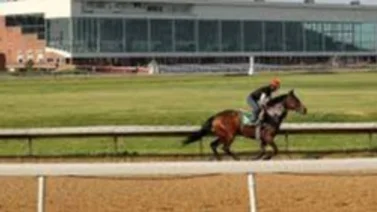 Venezolano logra su primera victoria en Estados Unidos como jockey 