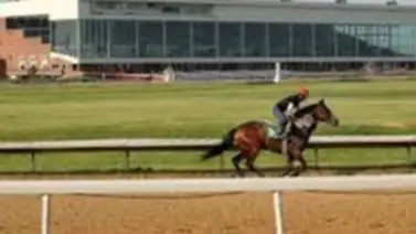 Venezolano logra su primera victoria en Estados Unidos como jockey Venezolano logra su primera victoria en Estados Unidos como jockey