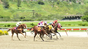 Debuta hijo de un semental que dio un ganador del Simón Bolívar