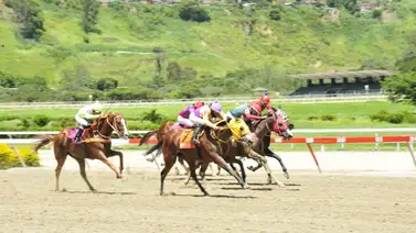 Debuta hijo de un semental que dio un ganador del Simón Bolívar Debuta hijo de un semental que dio un ganador del Simón Bolívar