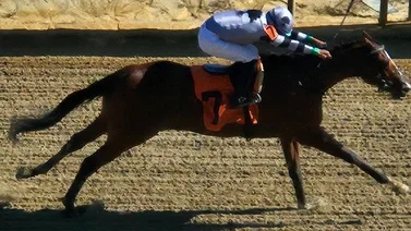 Jockey venezolano duplica y entra a los diez mejores en este meeting de Estados Unidos