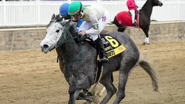 Jockey de Puerto Rico se titula campeón en importante meeting de Estados Unidos Jockey de Puerto Rico se titula campeón en importante meeting de Estados Unidos