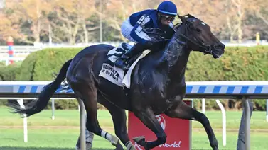 Suspendido y Multado este conocido entrenador por uso de sustancia prohibida Suspendido y Multado este conocido entrenador por uso de sustancia prohibida